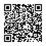 QR_528449