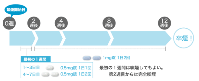 禁煙スケジュール